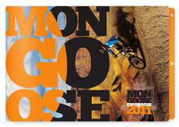 Scott Bikes Catalogue