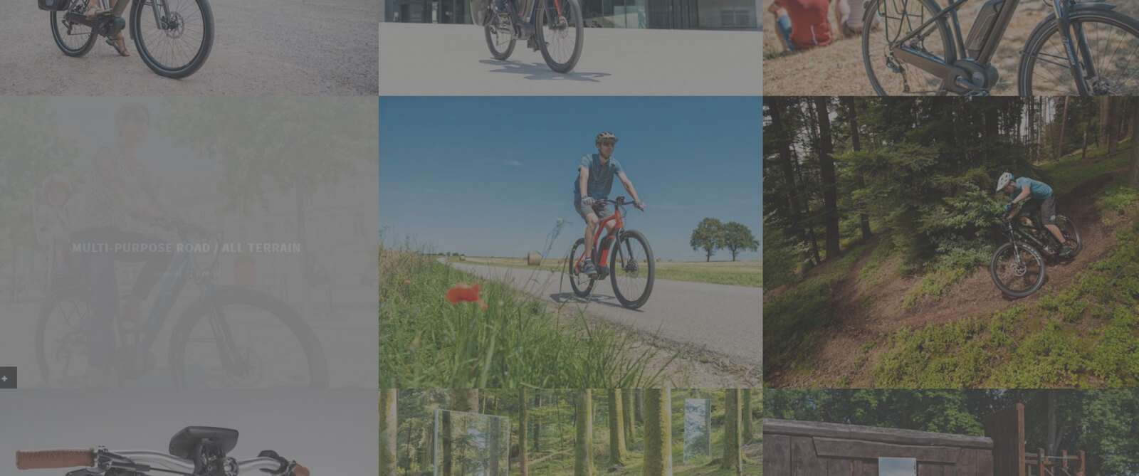 Moustache eBikes 2017