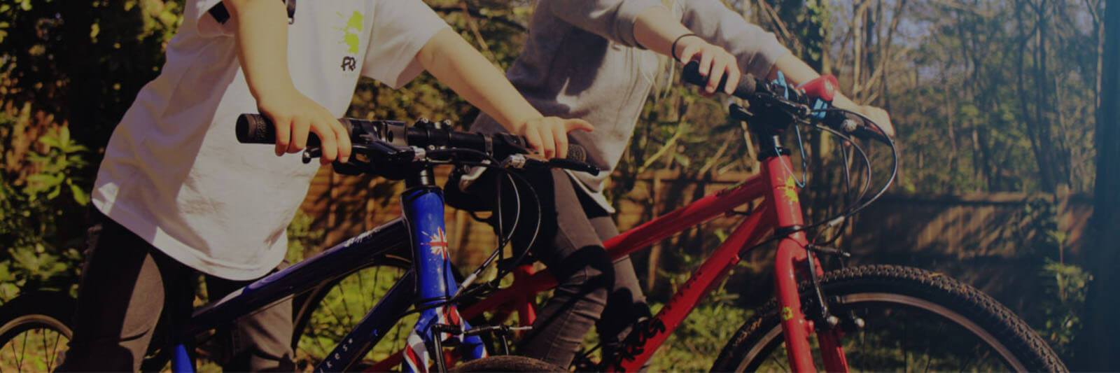 Frog Kids bikes