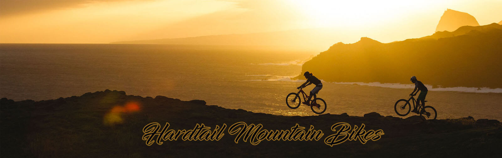 Hardtail Mountain Bikes