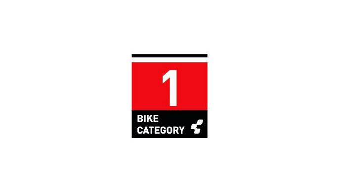 CLASSIFICATION: CATEGORY 1
