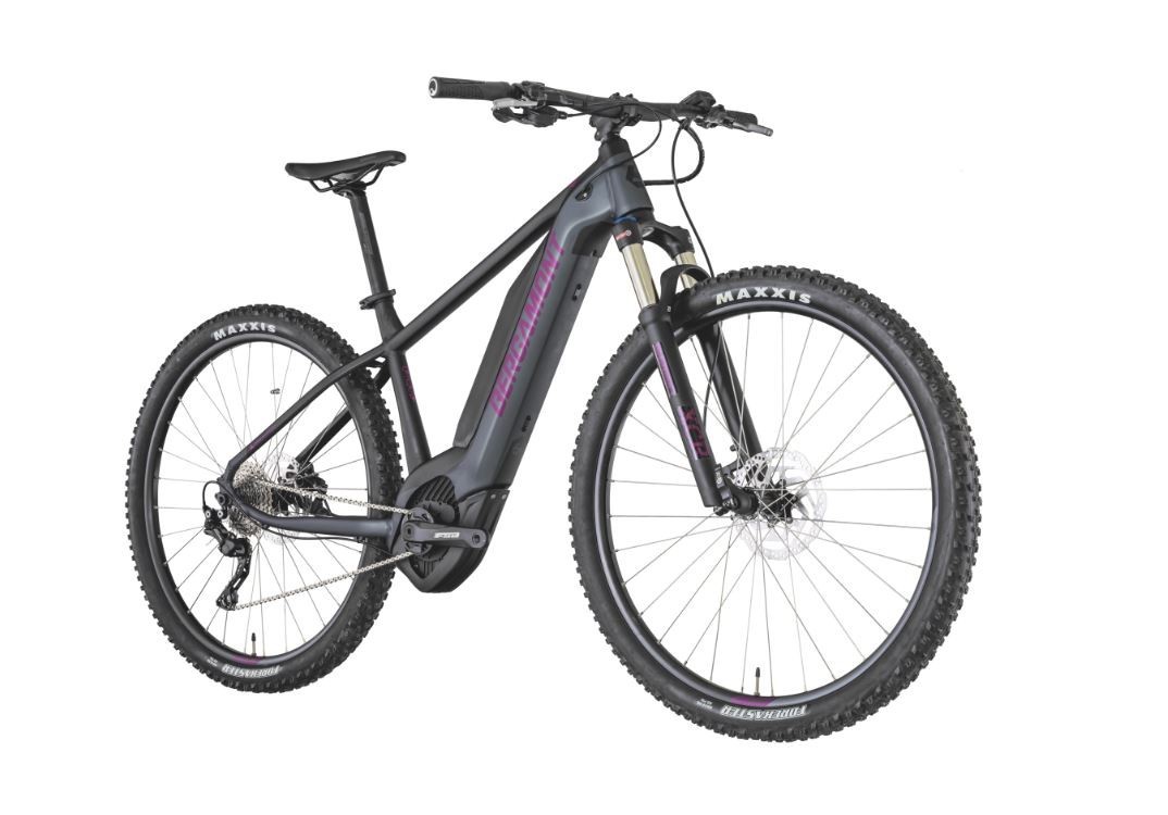 bergamont revox 6