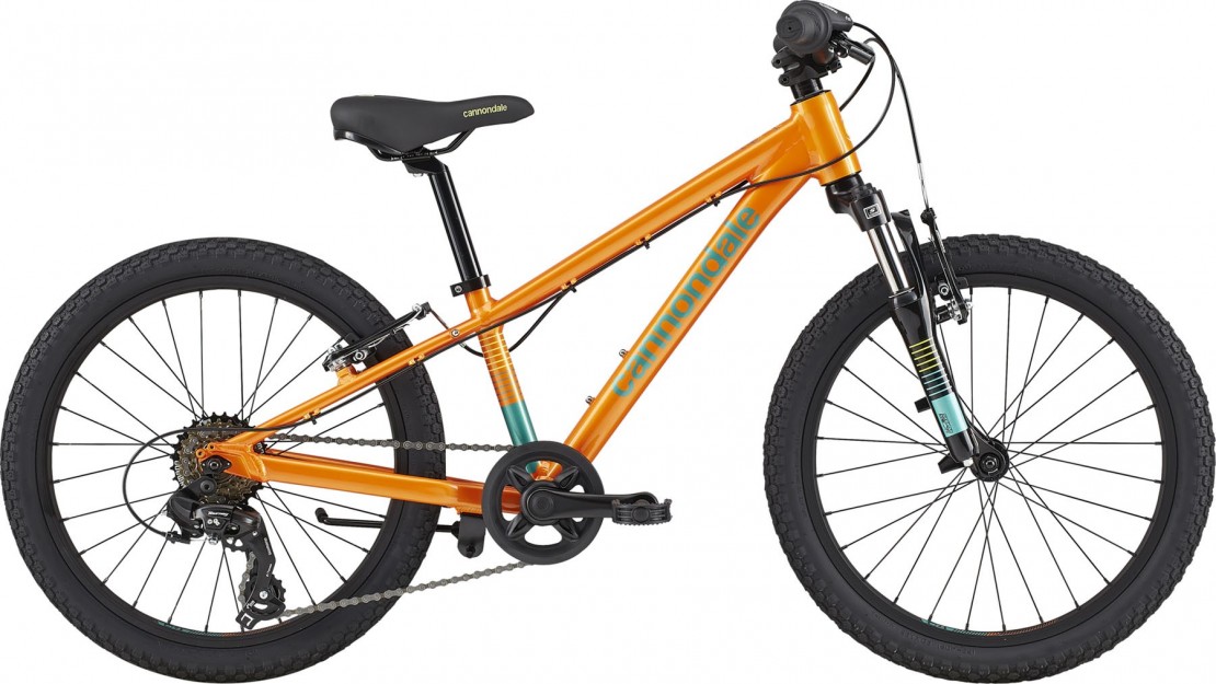 Cannondale 20 Kids Trail 2020 Mountain Bike (click to zoom)