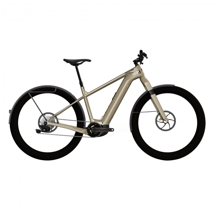 neo rider bicycle price