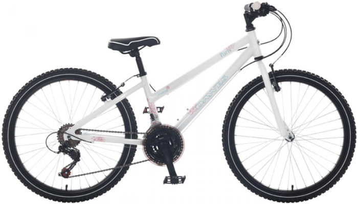 dawes 24 inch bike