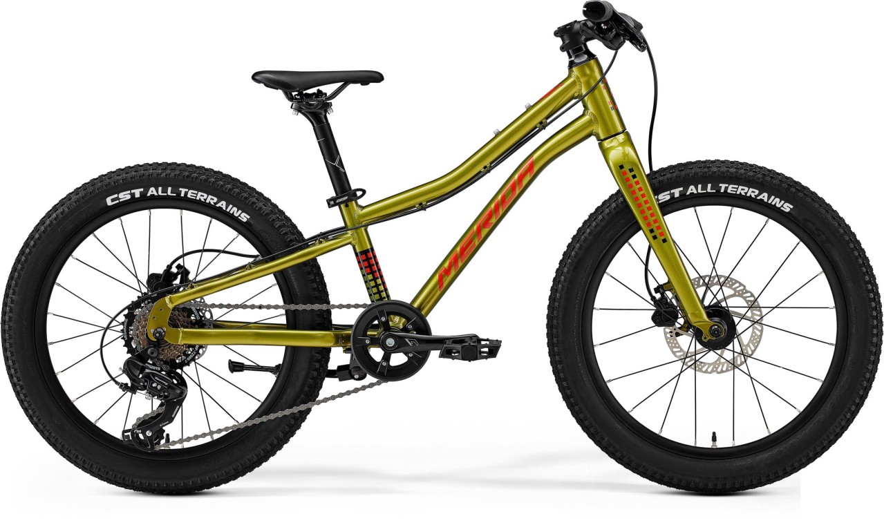 Merida Matts J.20+ 2025 Mountain Bike (click to zoom)