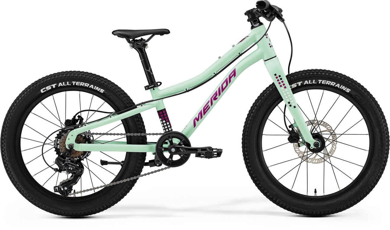 Merida Matts J.20+ 2025 Mountain Bike (click to zoom)