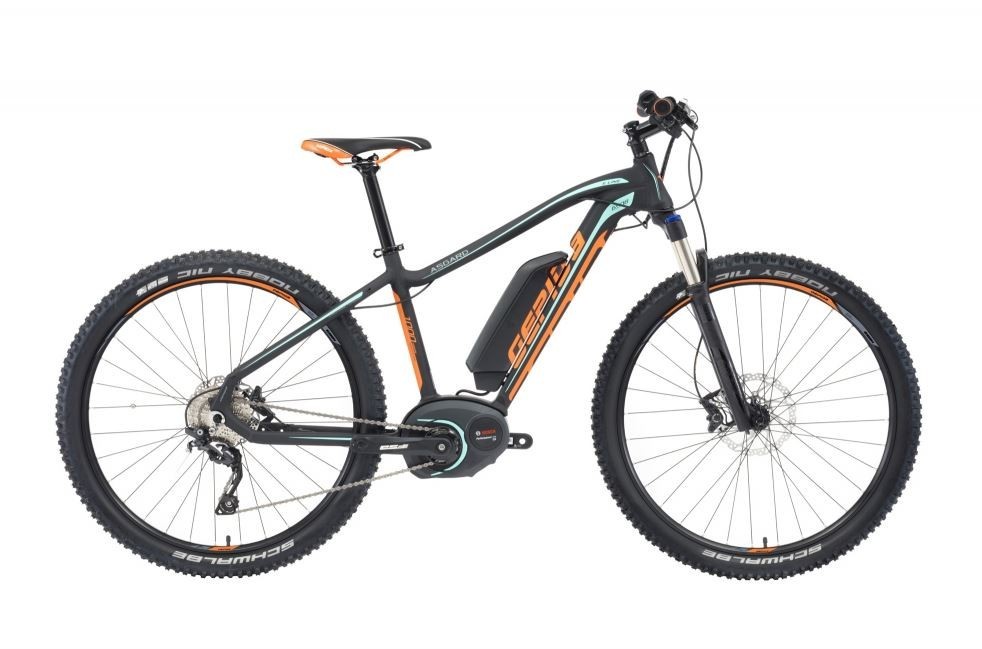 gepida asgard 650b