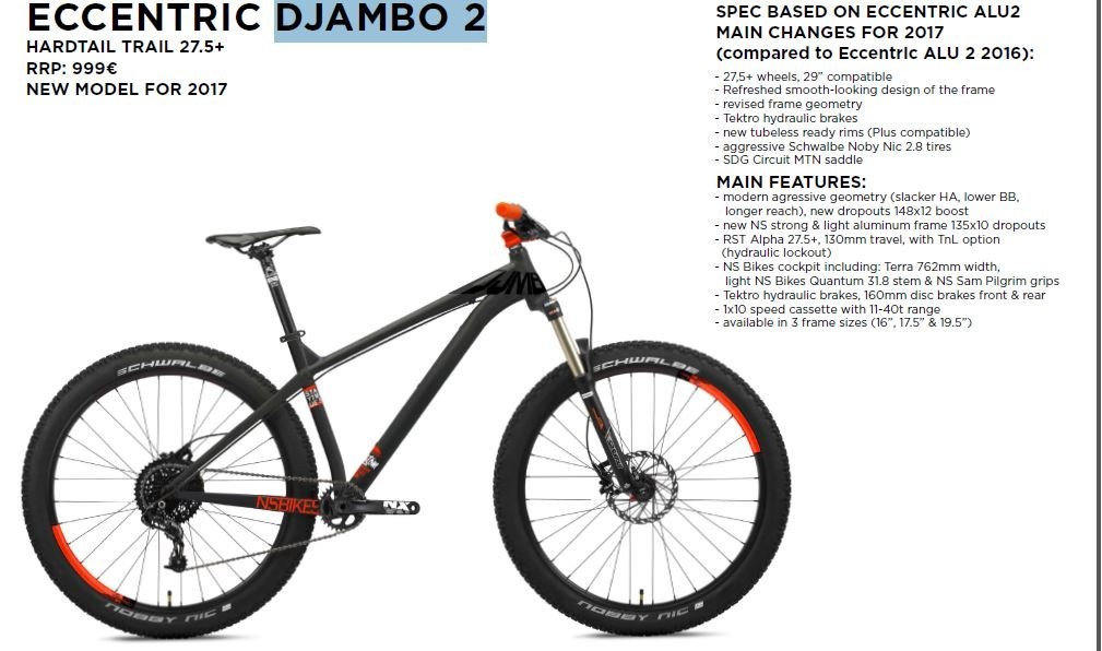 ns bikes eccentric
