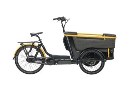 Raleigh STRIDE 3 TRIKE 20-26 BLACK 2023 Cargo Bikes Cargo Bikes