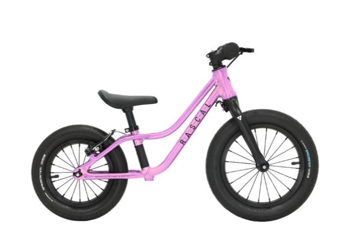 Rascal Punk 12-inch-14-inch Balance Bike 2026 Mountain Bike (click to zoom)