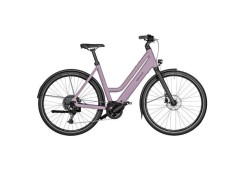 Riese und muller Culture Mixte Touring 2025 Hybrid Hybrid