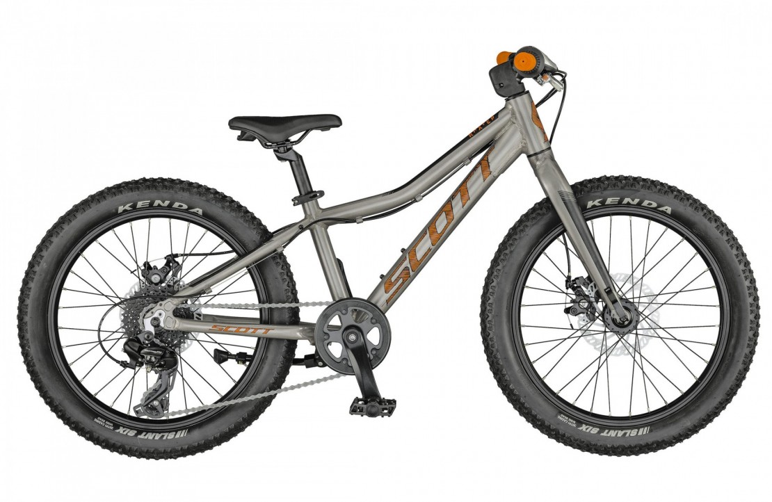 Scott Roxter 20 Hard Tail Kids Mountain Bike, Raw Alloy