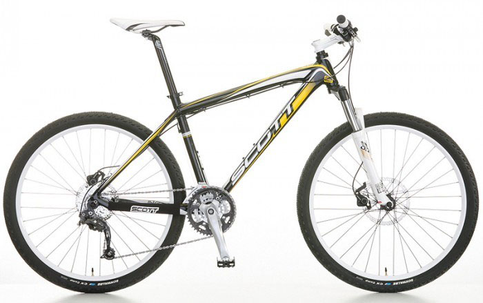 scott scale 2011