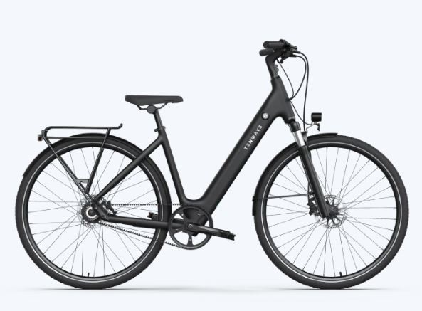 Tenways CGO800S 2024 Electric Hybrid (click to zoom)